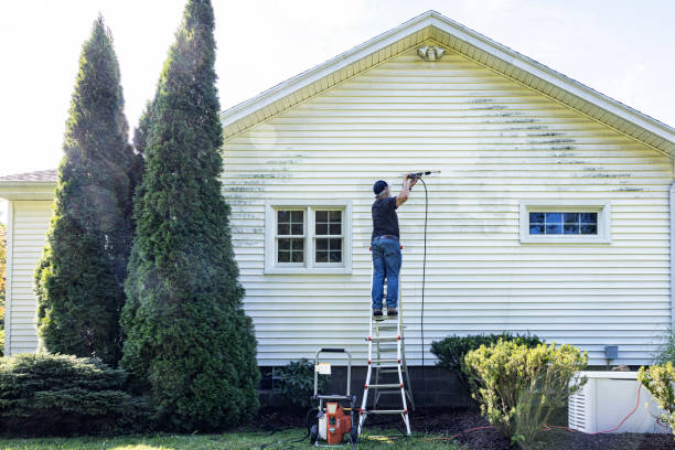 Best Gutter Cleaning and Brightening in Las Palmas Ii, TX